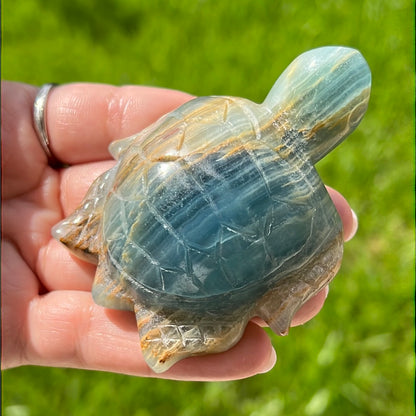 “Under The Sea” Blue Onyx Turtles