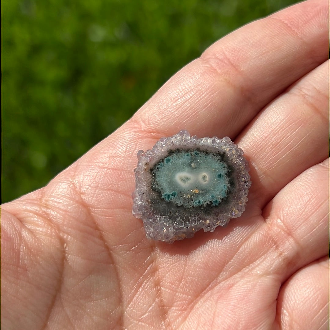 “A Nice Slice” Stalactite Slices