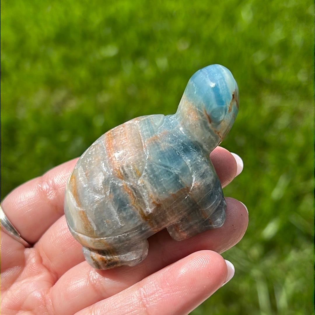 “Under The Sea” Blue Onyx Turtles