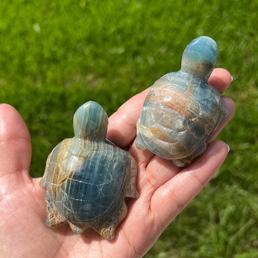 “Under The Sea” Blue Onyx Turtles