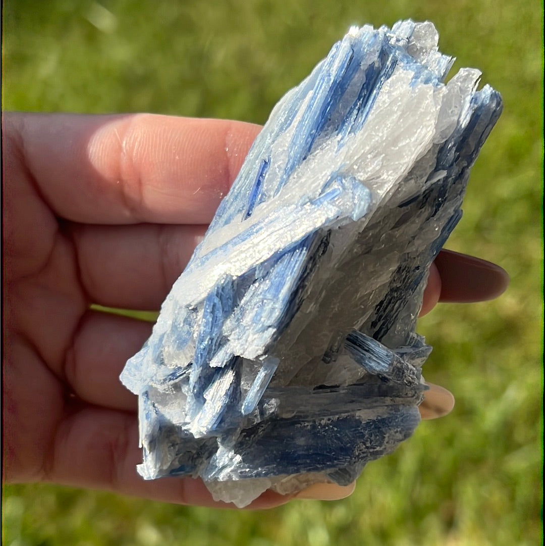 “Icicle” Blue Kyanite Blades and Fans