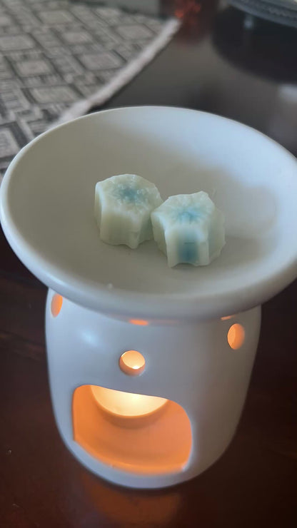 “Fresh Snowfall” Vegan Wax Melts