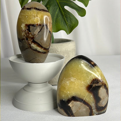 “Stuntin’” Septarian Free Forms