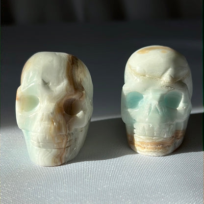 “Blue in the Face” Blue Aragonite Skulls