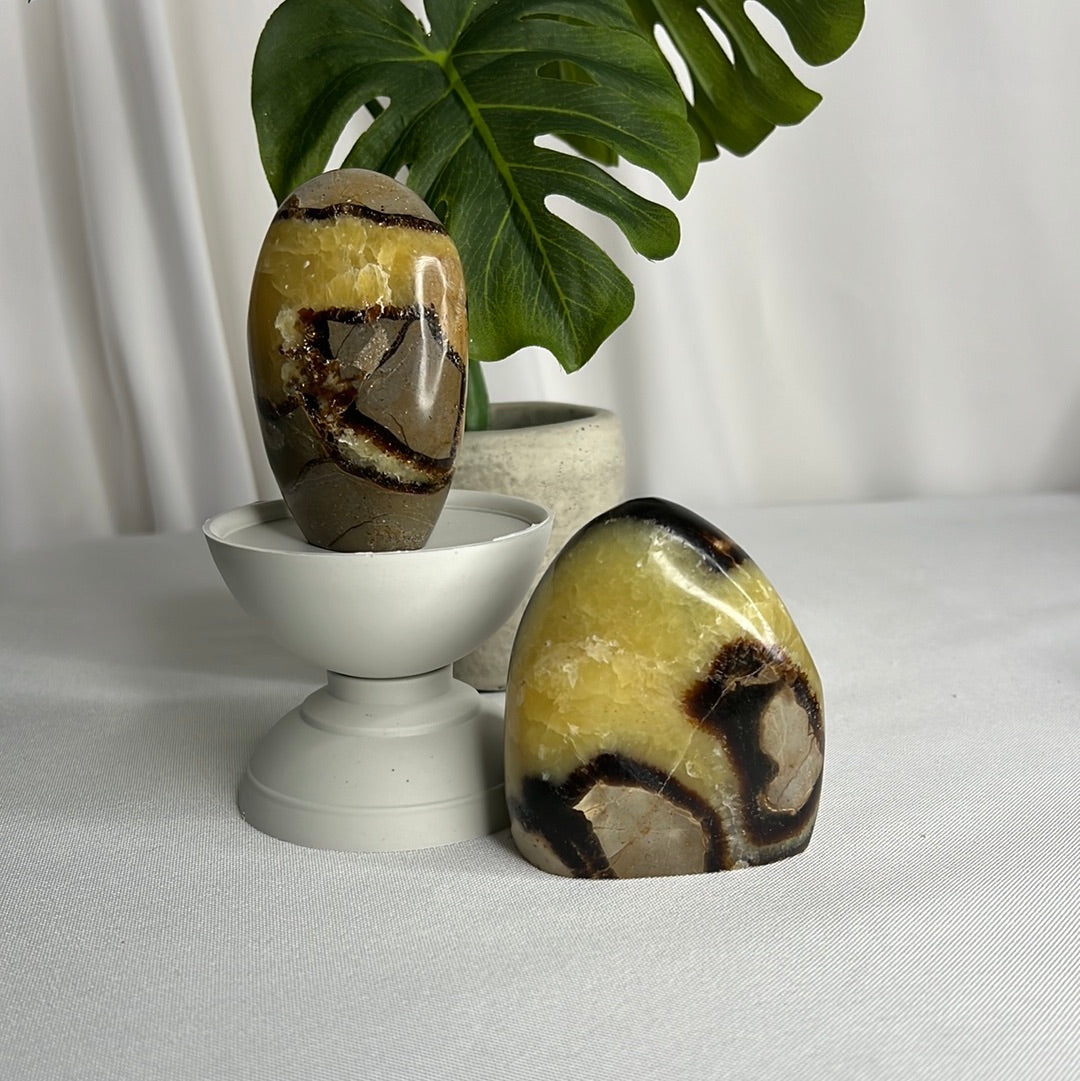 “Stuntin’” Septarian Free Forms