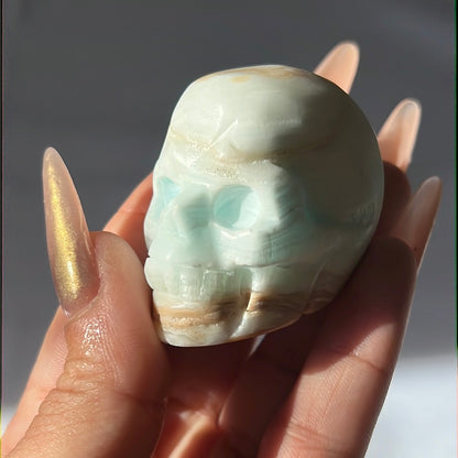 “Blue in the Face” Blue Aragonite Skulls