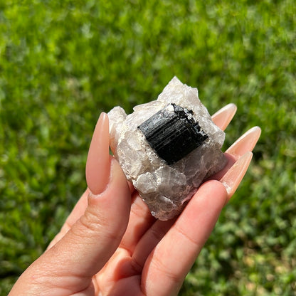 “Smolder” Black Tourmaline in Smoky Quartz Chunks